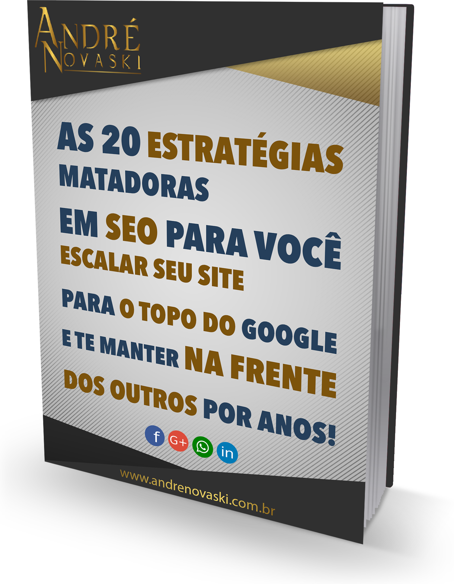 Pare de gastar o seu dinheiro com anúncios pagos